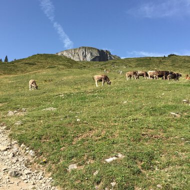 Auf zum Hahnenköpfle!