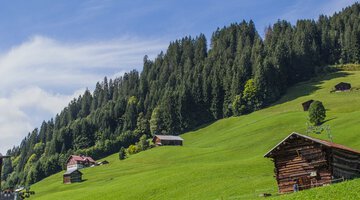 Haspelwald vom Maisässlift aus