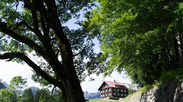 Nicht verpassen! Die erste Station am Bergahorn