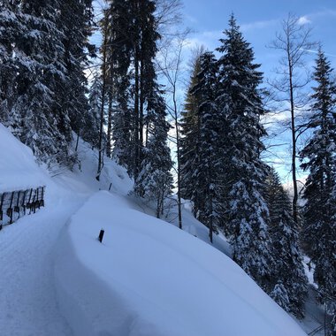 Höhenweg Söllereck