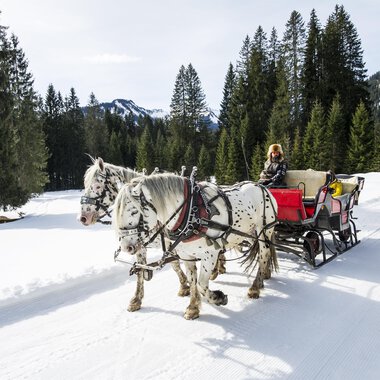 A horse-drawn sleigh is traveling through a snow-covered landscape with tall pines. In the background, mountains and a blue sky can be seen.