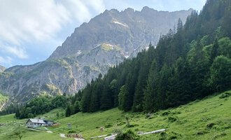 Eine malerische Alm mit saftigem Grün und dichten Wäldern im Vordergrund. Im Hintergrund erheben sich beeindruckende Berge unter einem leicht bewölkten Himmel. | © Bernhards Gemstelalp | Bernhard Heim