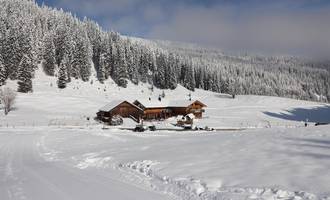Eine schneebedeckte Landschaft mit einem rustikalen Holzhaus. Dichte Tannenbäume umgeben die ruhige Szenerie.
