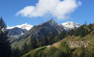 Eine beeindruckende Berglandschaft mit schneebedeckten Gipfeln und klarem Himmel. Grüne Wälder und Wiesen umgeben die Berge. | © Gasthof Café Alpenwald | Thorsten Alpenwald