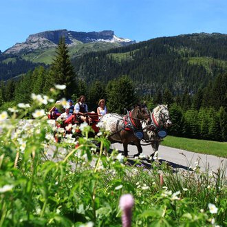 Eine Kutschfahrt durch eine malerische Landschaft mit Bergen im Hintergrund. Grüne Wiesen und blühende Blumen umsäumen die Straße.