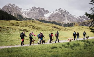 Eine Gruppe von Wanderern mit Hunden geht einen Weg durch grüne Wiesen. Im Hintergrund sind beeindruckende Berge mit Schnee zu sehen. | © Hundewelt Kleinwalsertal | Stefan Lindbauer