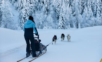 A person is pulling a sled through a snow-covered landscape. In the background, snow-covered trees can be seen. | © Kleinwalsertal Tourismus | Oliver Farys