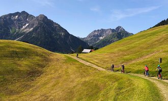 Eine malerische Landschaft mit sanften Hügeln und hohen Bergen im Hintergrund. Mehrere Radfahrer fahren auf einem schmalen Weg durch die grüne Wiese. | © WalserBike Tours | Christian Gutermuth