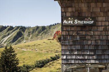 View of green landscape with mountain slopes in the background, next to a wooden hut with a 'Alpe Stierhof' sign and a flower box. | © Kleinwalsertal Tourismus eGen • Photographer: Andre Tappe