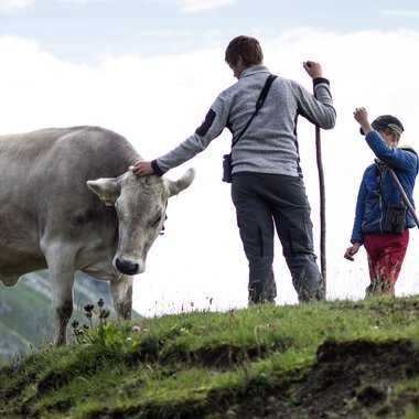 An adult and a child standing on a grassy hillside with a white cow. The adult is petting the cow while the child stands nearby. | © Kleinwalsertal Tourismus eGen • Photographer: Andre Tappe