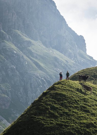 Two people with a dog on a green hilltop against a stunning mountain backdrop. | © Kleinwalsertal Tourismus eGen • Photographer: Andre Tappe