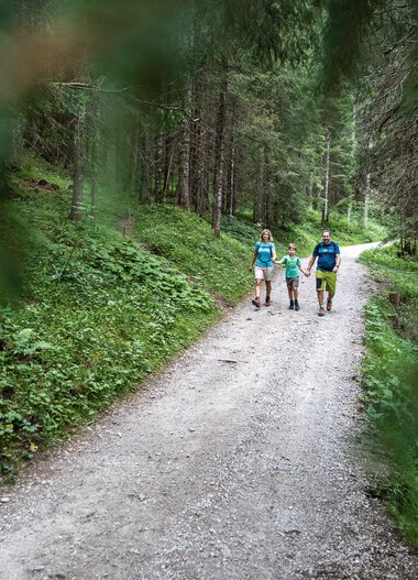 Family hiking along a forest trail in Gemsteltal, surrounded by trees and lush greenery. | © Kleinwalsertal Tourismus eGen • Photographer: Bastian Morell