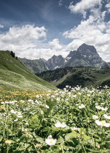 Panoramic view of Derratal with a flower meadow in the foreground and mountains in the background on a sunny day. | © Kleinwalsertal Tourismus eGen • Photographer: Dominik Berchtold