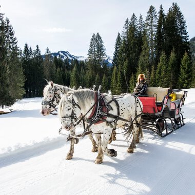 Two ponies pulling a horse-drawn sleigh through a snowy winter landscape, surrounded by dense pine trees and mountains in the background. | © Kleinwalsertal Tourismus eGen • Photographer: Dominik Berchtold