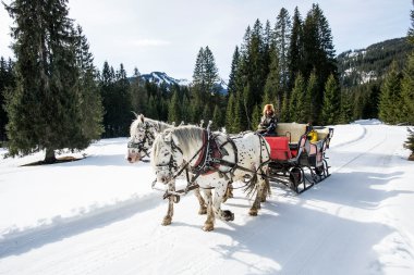 Two ponies pulling a horse-drawn sleigh through a snowy winter landscape, surrounded by dense pine trees and mountains in the background. | © Kleinwalsertal Tourismus eGen • Photographer: Dominik Berchtold