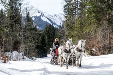 A person rides a horse-drawn carriage through a snowy winter landscape surrounded by mountains and pine trees. | © Kleinwalsertal Tourismus eGen • Photographer: Dominik Berchtold
