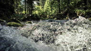 Ein schneller Fluss in einem grünen Wald mit Sonnenlicht, das durch die Bäume scheint. | © Kleinwalsertal Tourismus eGen • Fotograf: Oliver Farys
