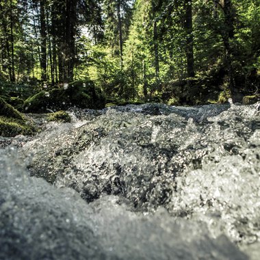 Ein schneller Fluss in einem grünen Wald mit Sonnenlicht, das durch die Bäume scheint. | © Kleinwalsertal Tourismus eGen • Fotograf: Oliver Farys