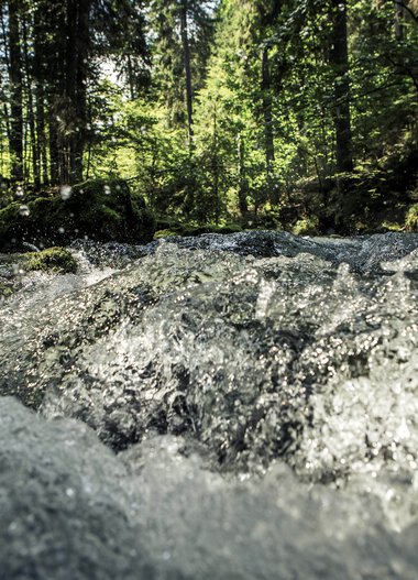 A fast-flowing stream in a lush green forest with sunlight filtering through the trees. | © Kleinwalsertal Tourismus eGen • Photographer: Oliver Farys