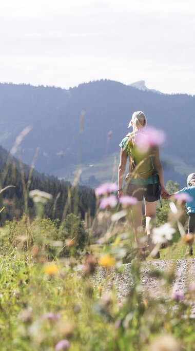 Family hiking on a trail in the mountains surrounded by green nature and colorful flowers on a sunny day. | © Kleinwalsertal Tourismus eGen • Photographer: Oliver Farys