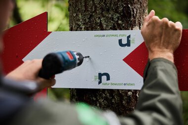 Person attaching a sign to a tree with a cordless drill in a forest during summer. | © Kleinwalsertal Tourismus eGen • Photographer: Oliver Farys