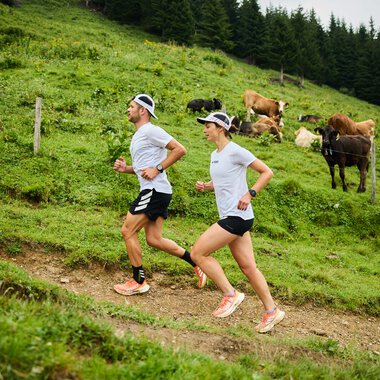 Two women running on a grassy trail surrounded by cows and a forest in the background. | © Kleinwalsertal Tourismus eGen • Photographer: Oliver Farys