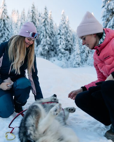 Two women in winter clothing care for a snow-covered husky in Kleinwalsertal, surrounded by snowy trees. | © Kleinwalsertal Tourismus eGen • Photographer: Oliver Farys
