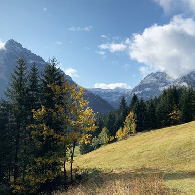 Berglandschaft mit Wäldern, Wiesen und Bergen unter einem blauen Himmel mit Wolken im Hintergrund. | © Kleinwalsertal Tourismus eGen