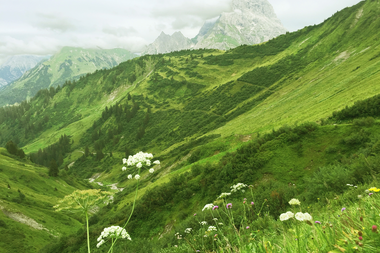 Grüne, bergige Landschaft mit Wiesen und Blumen im Derratal, umgeben von hohen Bergen im Kleinwalsertal. | © Kleinwalsertal Tourismus eGen