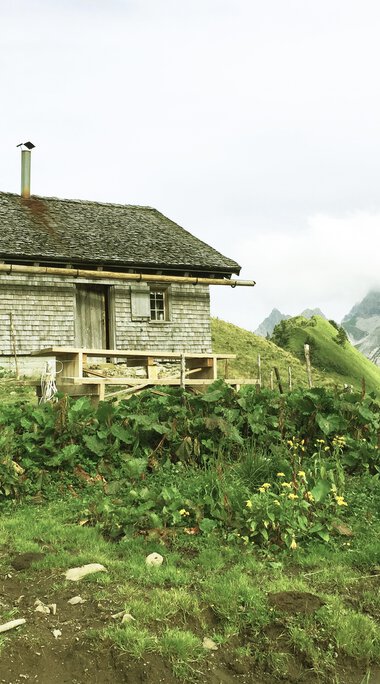 Ein ländliches Haus im Gebirge mit grünen Wiesen, Berge im Hintergrund und bewölktem Himmel. | © Kleinwalsertal Tourismus eGen
