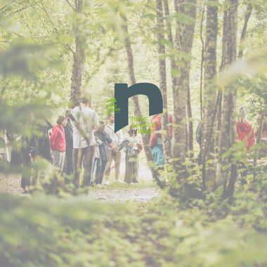 Gruppe von Menschen, die einen Waldweg im Sonnenlicht entlanggehen, mit Bäumen und grüner Natur im Hintergrund. | © Kleinwalsertal Tourismus eGen