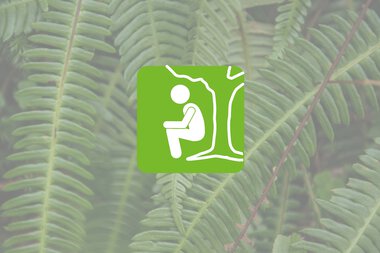 Icon eines Naturtoiletts, Personen sitzt auf einer Toilette im Freien unter einem Baum. | © Kleinwalsertal Tourismus eGen
