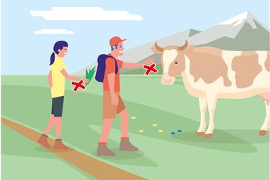Two hikers keep distance from a cow on a mountain pasture to ensure animal safety. | © Bundesministerium für Nachhaltigkeit und Tourismus