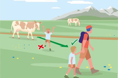 Illustration of hikers near cows on a mountain pasture, with safety guidance for outdoor activities. | © Bundesministerium für Nachhaltigkeit und Tourismus