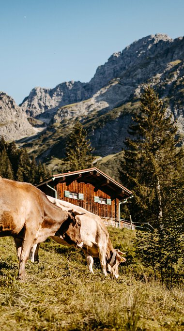 © Kleinwalsertal Tourismus eGen • Photographer: Sascha Gast